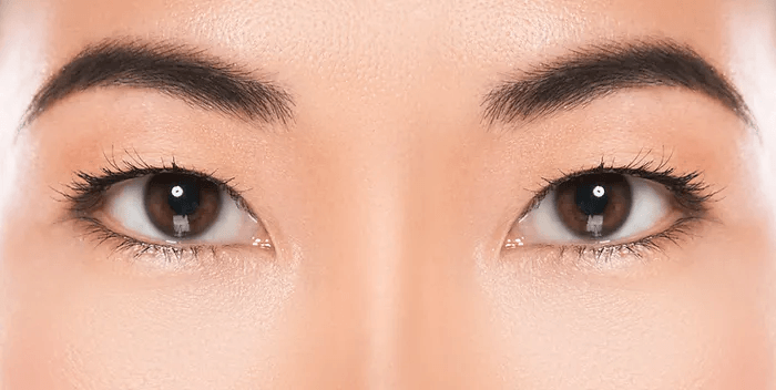 Eyebrows~mv2.jpg