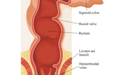 A Rise In Anal Sex Among Young Adults