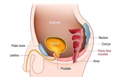Should Men Train Their Pelvic Floor?