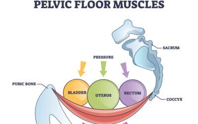 A Weak Pelvic Floor?