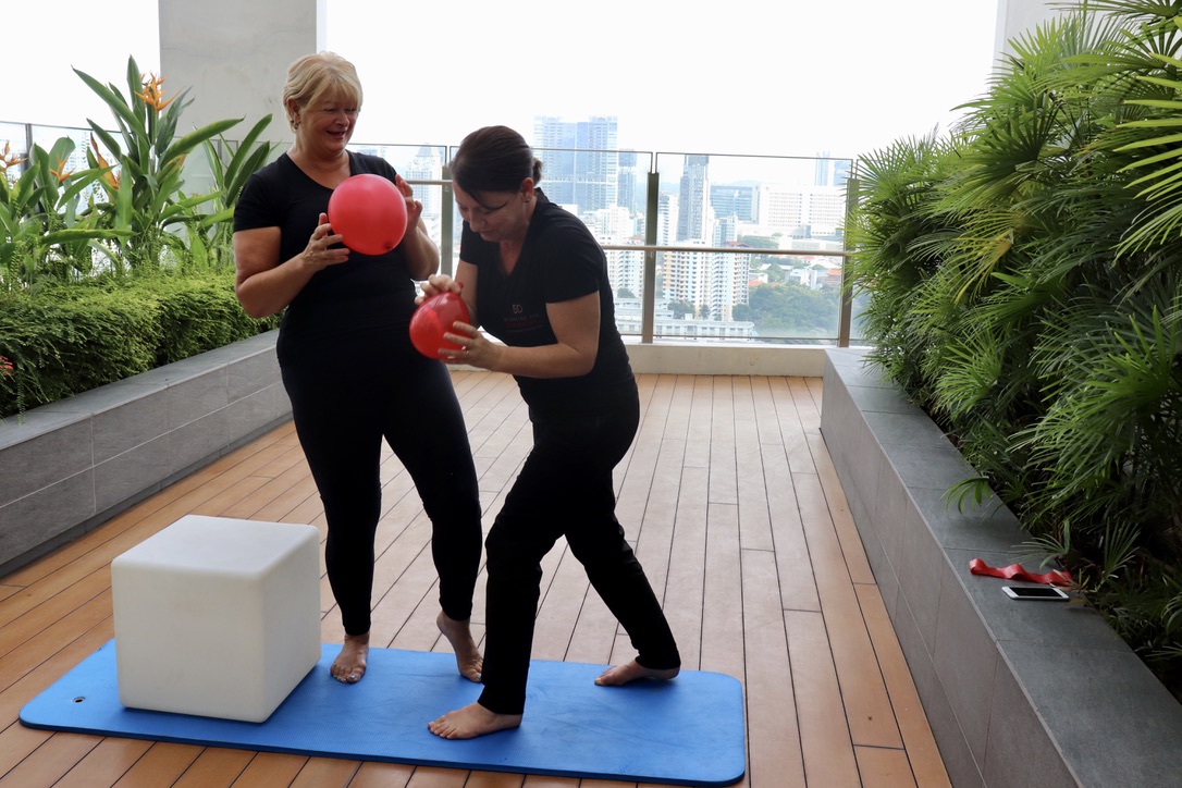 The pelvic diaphragm